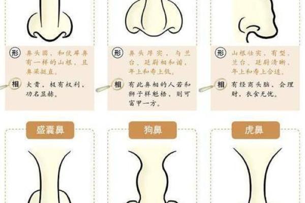 面部小秘密，鼻毛白毛透露惊人命理！