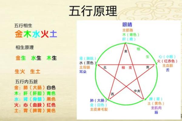 命理相生相克：揭秘命运规律，助你趋吉避凶！