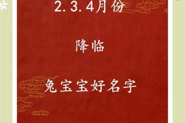 给公兔子起名字的创意灵感分享