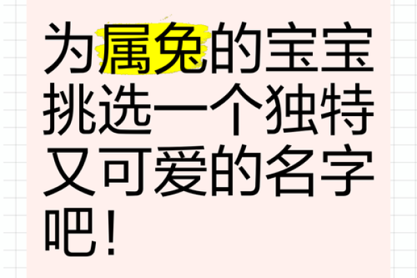 给公兔子起名字的创意灵感分享