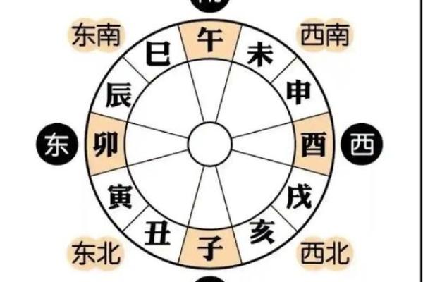 地支如何管事？揭秘十二生肖背后的秘密