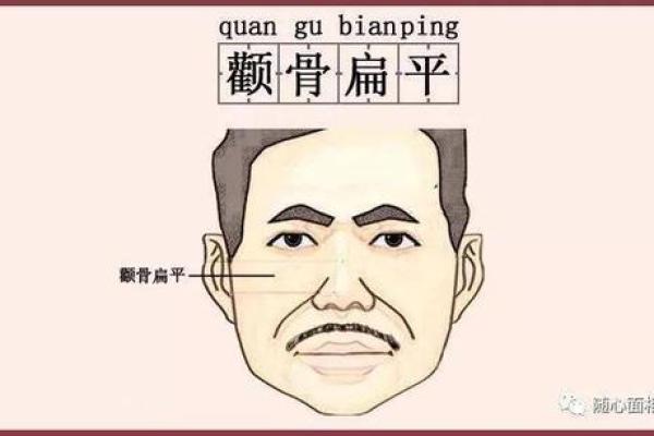 面相颧骨彰显权势的神秘解读