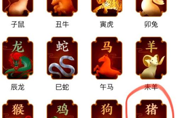 亥猪送福，财运亨通，2024年生肖运势指南来了