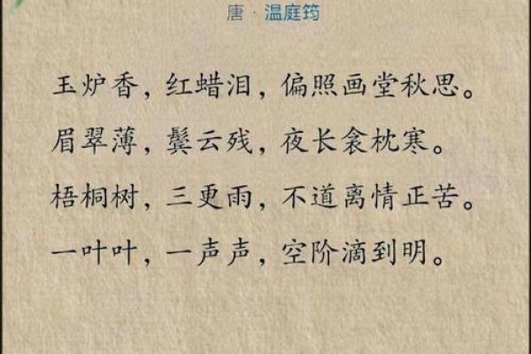 筠雅名字的寓意与象征解析