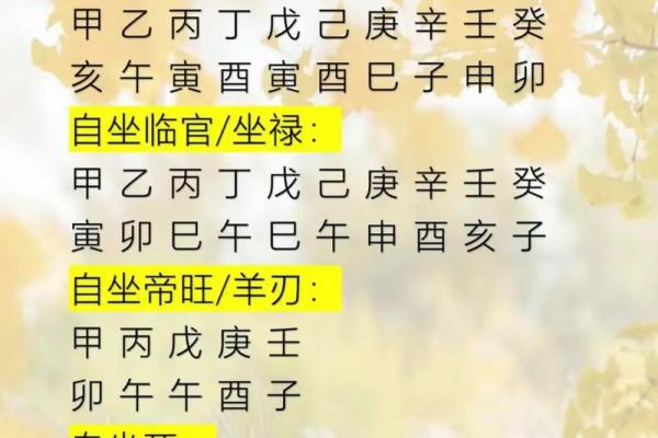 朝阳命理视频大揭秘：如何轻松驾驭运势，成为人生赢家？