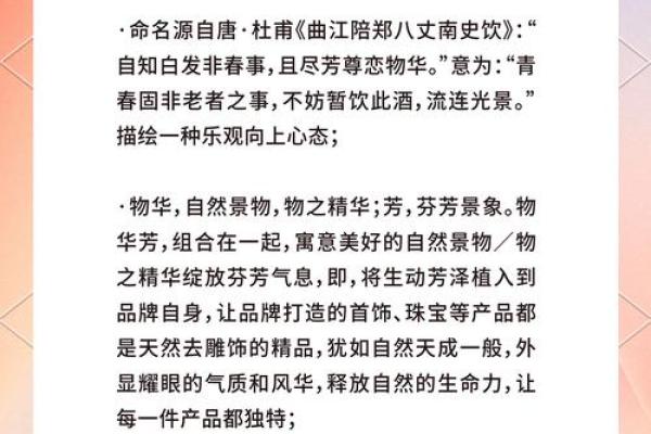 中国品牌命名策略：从文化底蕴到市场认知