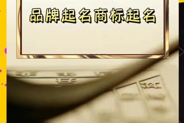 助力企业发展，云南起名公司让品牌更具影响力
