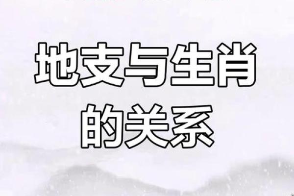 十二地支灵地探幽：体验生肖世界的独特风情