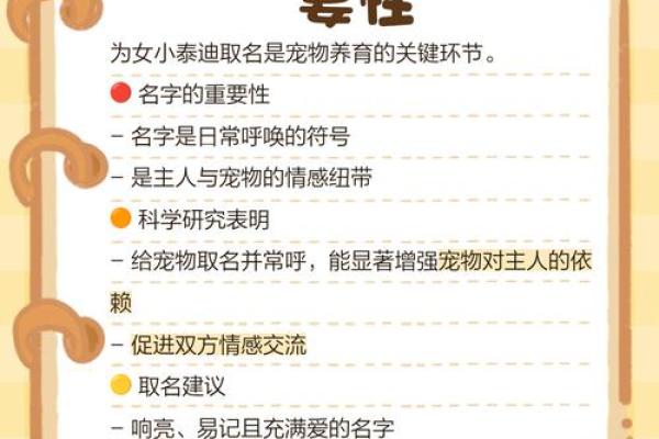 宠物名字新潮流：小母泰迪起名指南