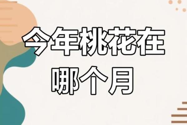 揭秘命理桃花：你的爱情运势大揭秘！
