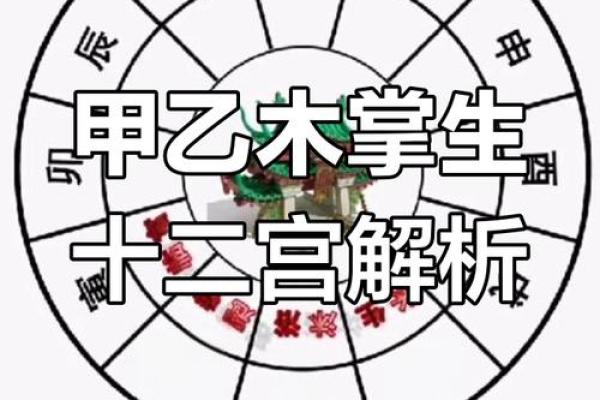 劫走官位，揭秘地支背后的神秘力量