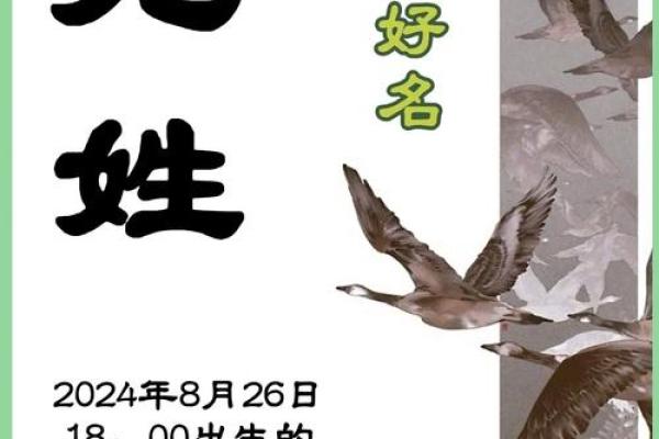 17年宝宝取名，创意无限的美名集