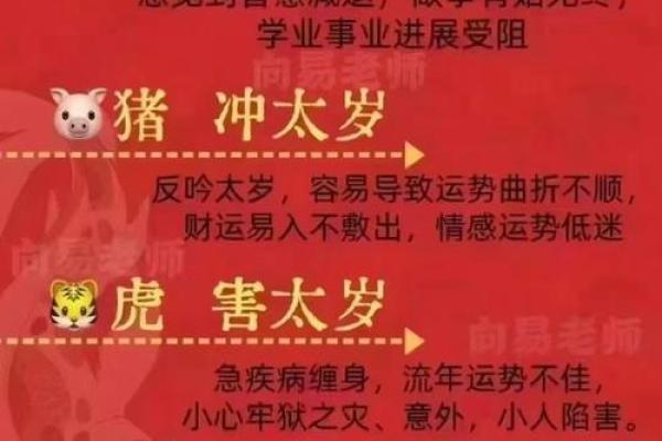 三寅命理的深层含义与影响