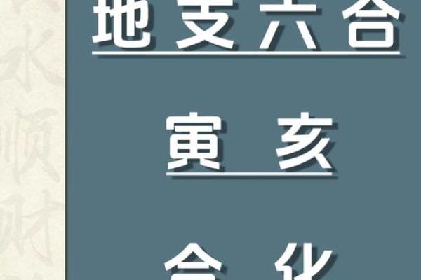 三寅命理的深层含义与影响