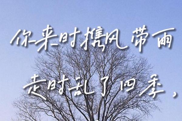 携风带雨，轩字取名新意盎然