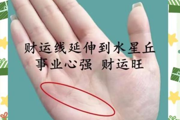 掌中奥秘：揭秘手相的惊人秘密