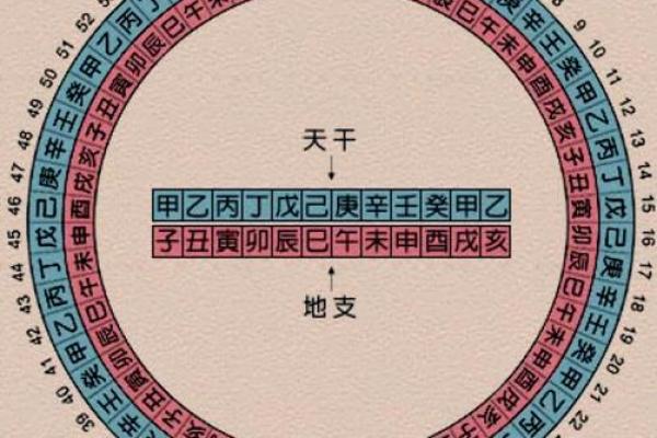 酉时禁忌全收录，地支最忌酉，带你走进神秘的地支禁忌世界