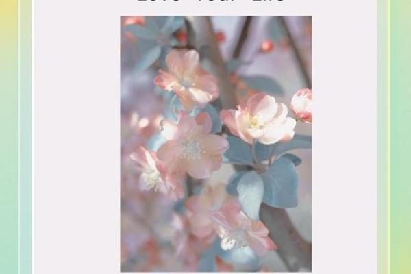 黄奕菡：熠熠生辉，才情与智慧并存的美丽寓意