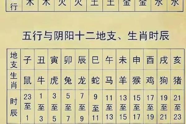 神秘地支，对冲相生，揭秘古老智慧中的五行之道