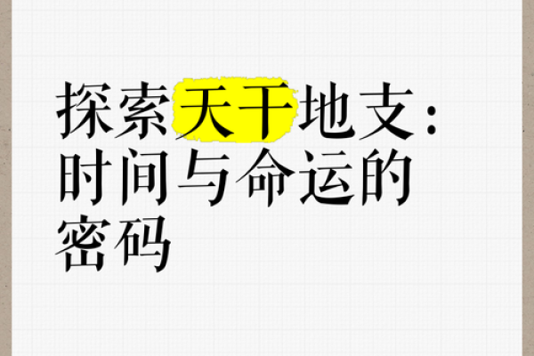 揭秘命运密码：木林易带你走进神秘命理世界