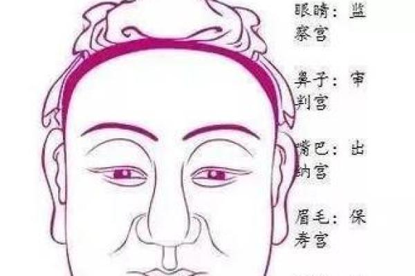 安徽面相图解：揭秘地域特色，一眼识人！