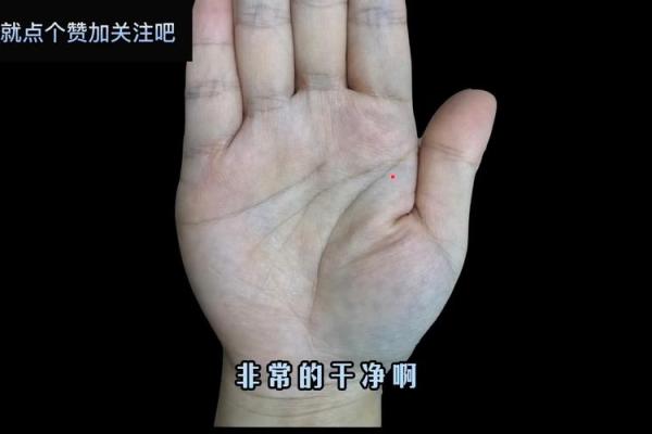 掌中宝：揭秘老公宠爱手面相的秘密