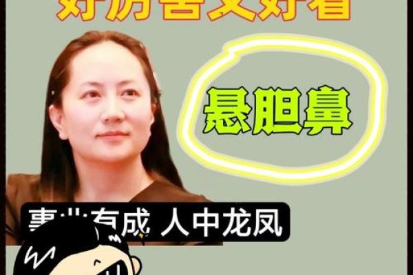 鼻型决定命运：揭秘面相鼻型的秘密
