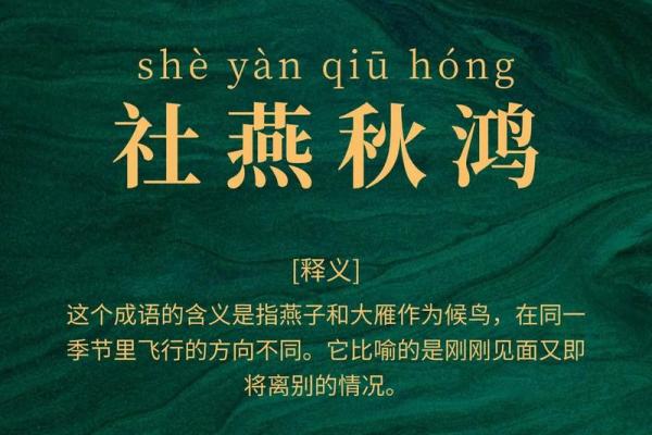 林燕：翩翩起舞，燕归巢的美好寓意