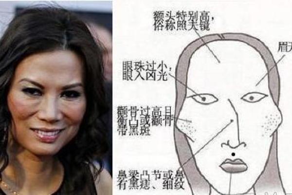 土黑狗面相揭秘：洞察命运的秘密通道