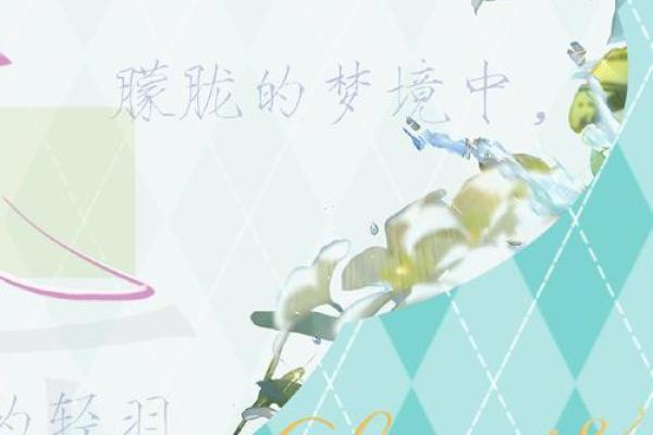 思羽之翼，翱翔人生运势璀璨星光