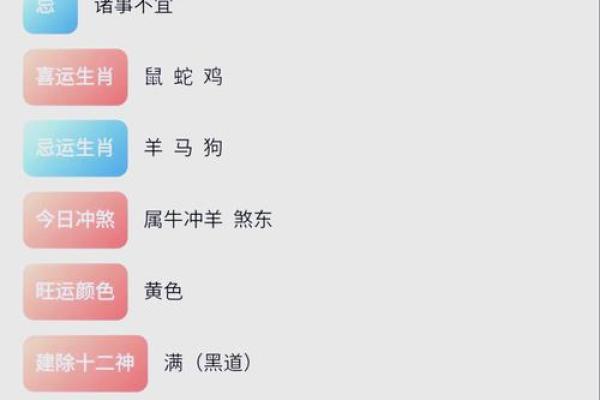 陈星鹏：星辉璀璨，鹏程万里——解析姓名中的运势奥秘