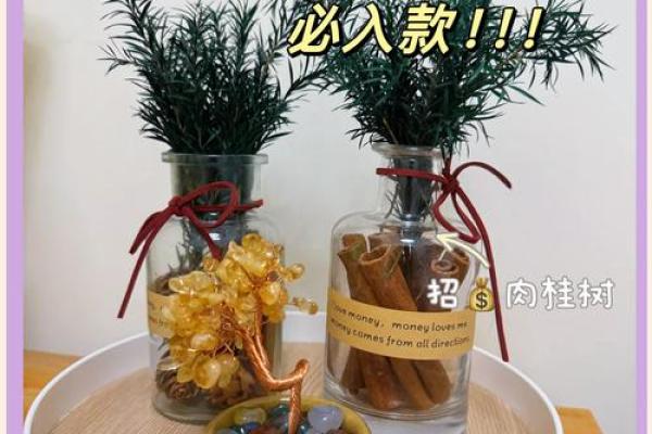 家居风水布局，教你如何招财旺运！