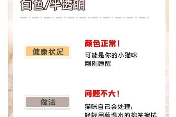 眼珠发黄：揭示面相中的健康秘密