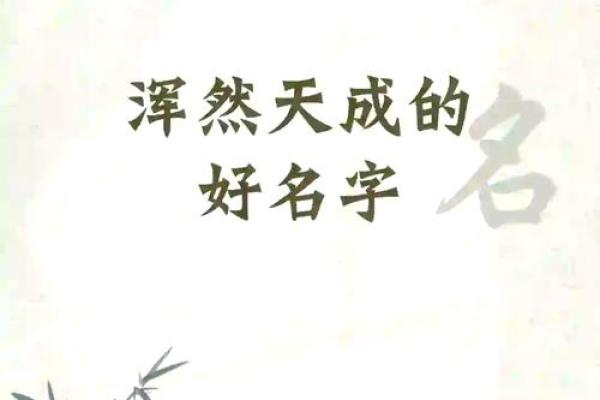 吴青禾：文雅清秀，禾苗茁壮，好运连连的吉祥名