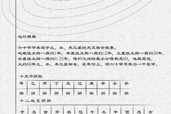 兔字五行属木还是其他元素