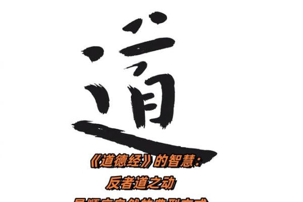 透过平五行看人生：顺应自然的智慧之道