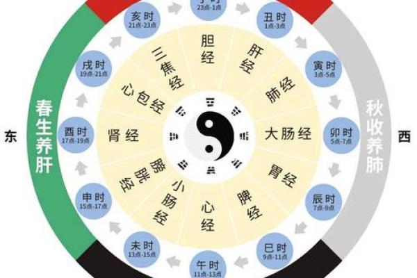 午时风云：揭秘十二时辰中的能量巅峰