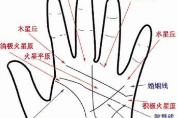 神秘手相解析：揭秘痣相背后的运势秘密！