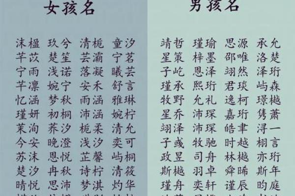 男孩名字瑾字解析：寓意美好与优雅的命名艺朿