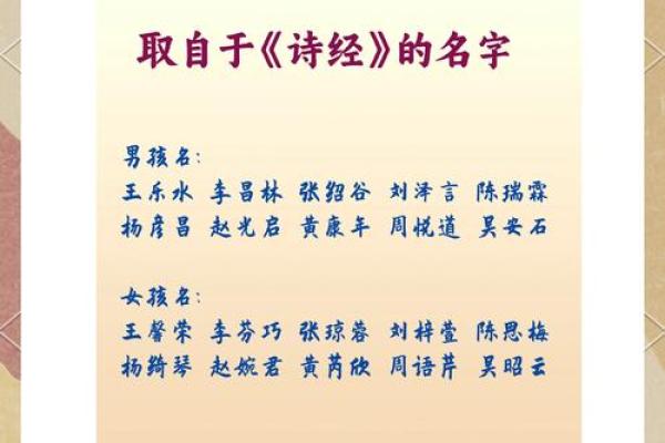 从佳婉看起名艺术：名字与性格的和谐共鸿