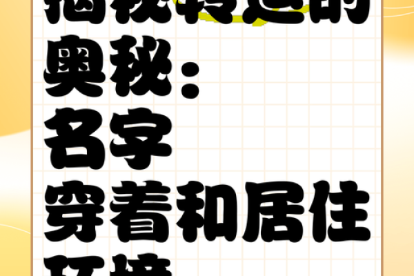 揭秘姓名密码：你的名字蕴含了多少运势秘密？