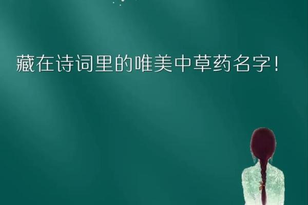 李讷的名字与历史传承：解读其独特的家族意义