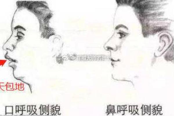 嘴瘪面相揭示：命运多舛的神秘面相之谜