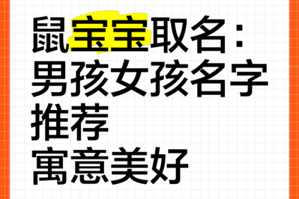 生肖鼠宝宝名字大全，助您找到心仪的名字