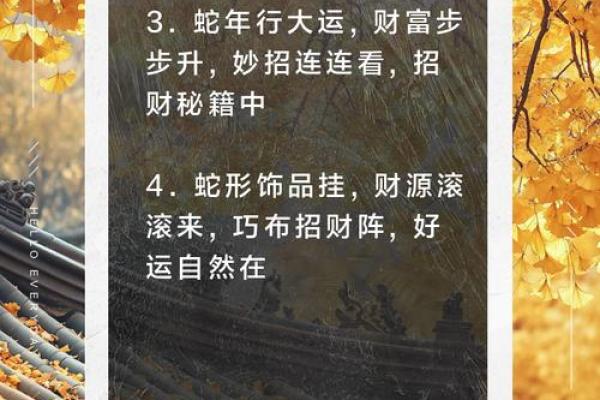 揭秘古代富豪的招财秘籍，财运亨通从此开始！