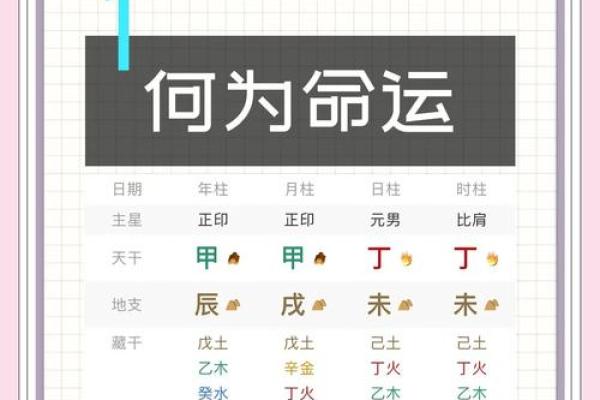伊五行属性对人生运势的影响