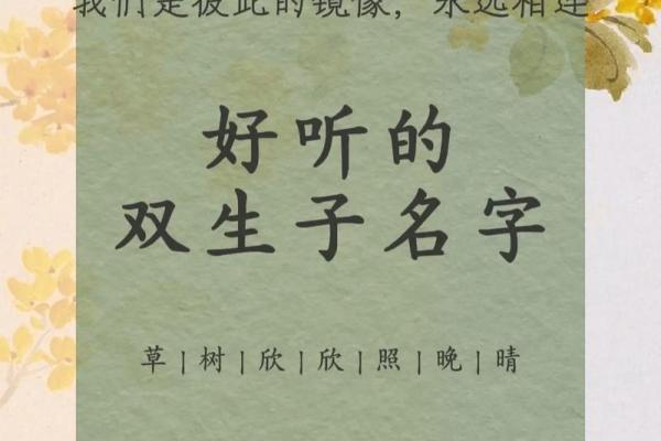 双胞胎男孩起名攻略：独特又好听的姓名推荐