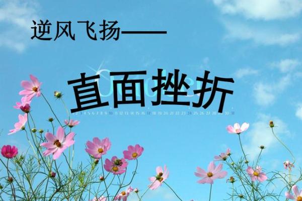逆风飞扬：叛逆者的崛起之路