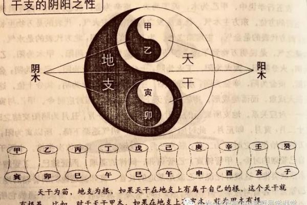 阴阳五行：命理阴气如何影响你的命运轨迹