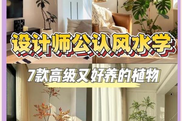 风水大师揭秘：工厂如何布局招财旺运？